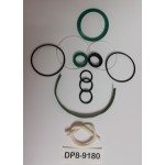 DP8-9180 - Seal Kit